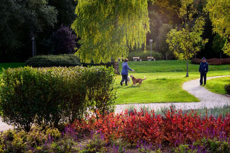 Der Central Park von Veszprém mit seinen Friends