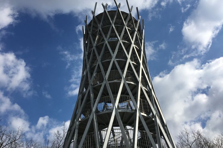 Der Gulyahügel: ein verzauberter Wald mit einem besonderen Turm in der Mitte