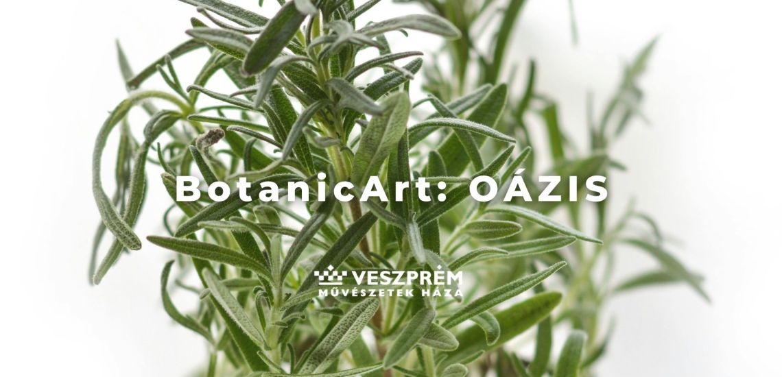 BotanicArt: Oázis / Romantikus rozmaring