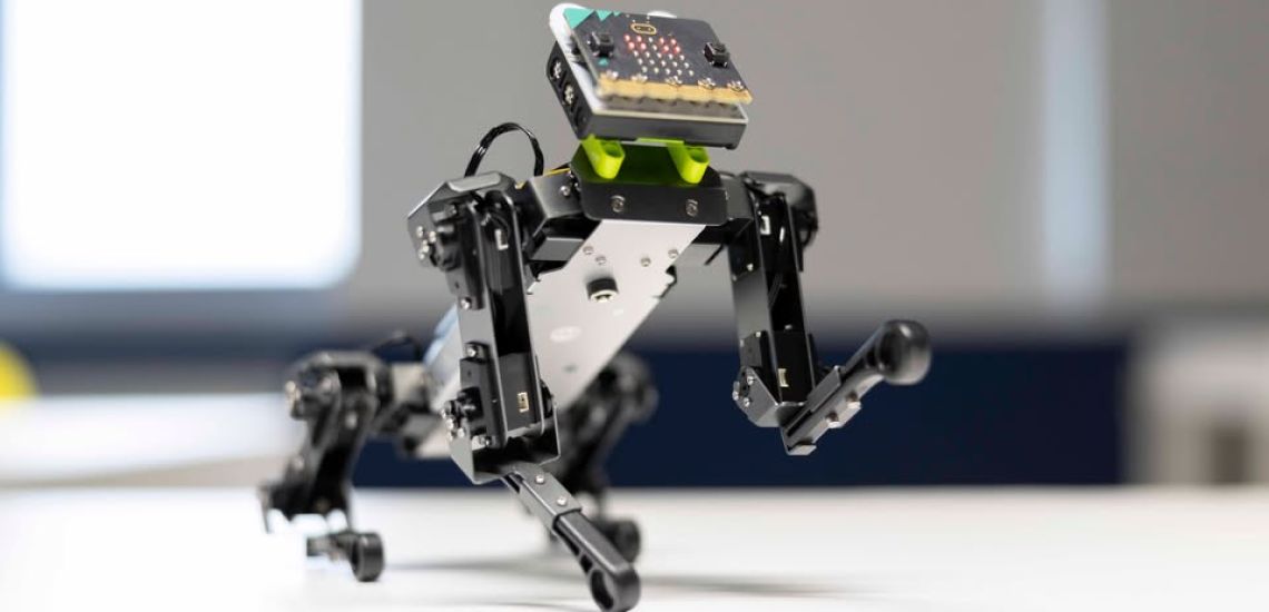 Nyári tábor: Programozzunk micro:bitet!