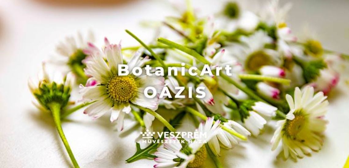 BotanicArt - Oázis/ Április 15.