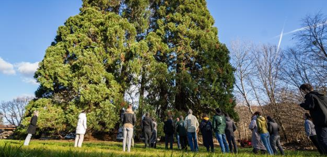 Tóth Barnabás - Szépalmai Arborétum - előadás
