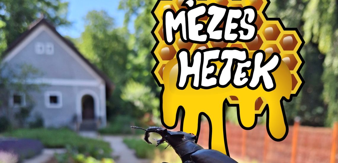 Mézes hetek a Bakonyi Házban - múzeumpedagógiai foglalkozás