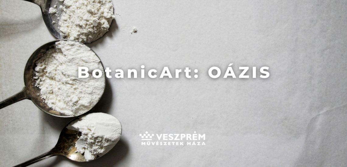 BotanicArt: Oázis / Február
