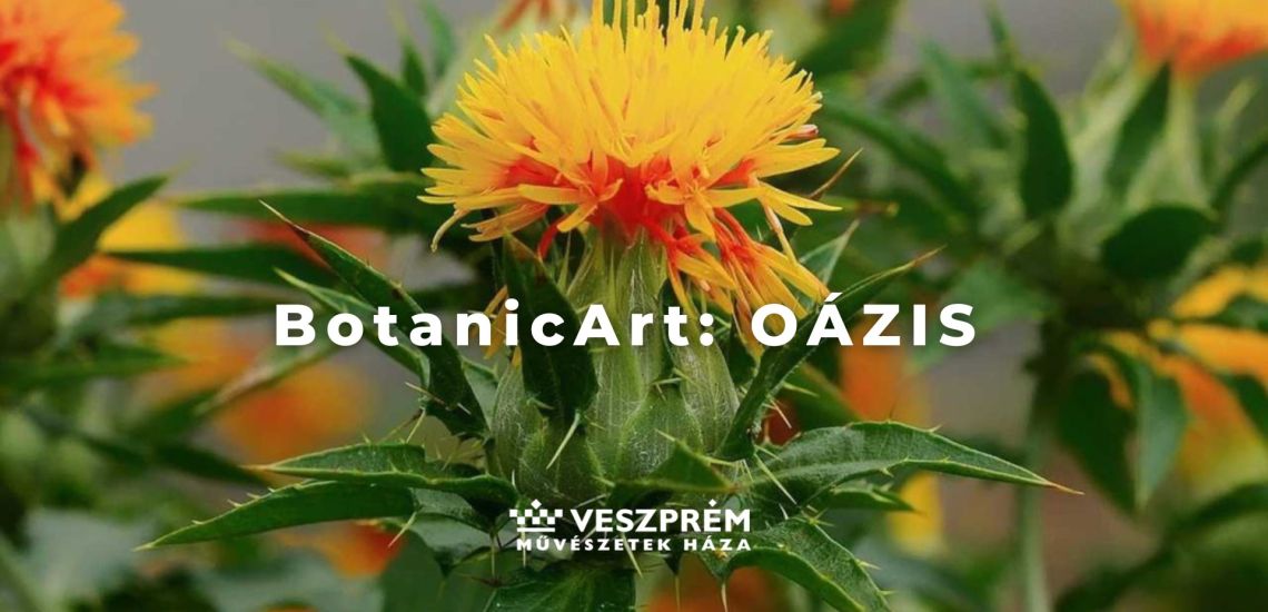 BotanicArt: Oázis / Október
