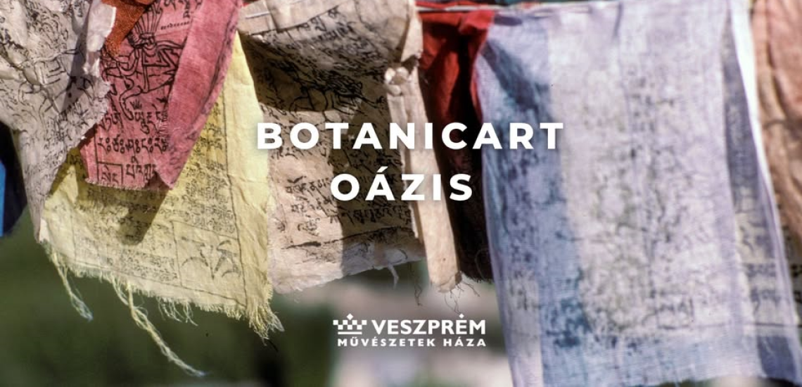  BotanicArt: Oázis / November