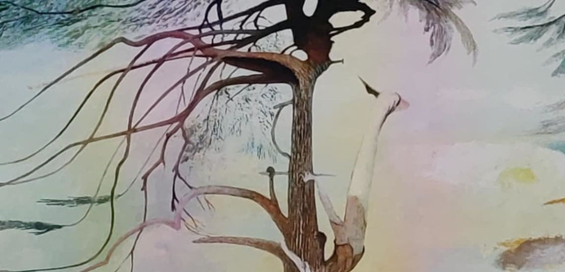 Csontváry - A fotonok nyelvén