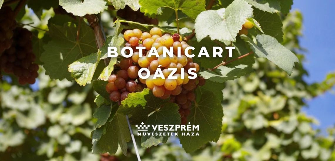 BotanicArt: Oázis / Szeptember
