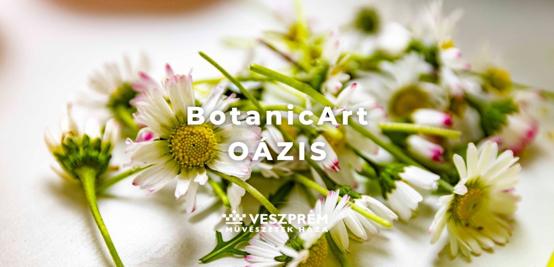 BotanicArt - Oázis/ Április 8.