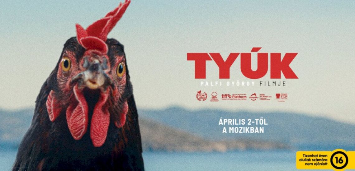 Tyúk - filmvetítés