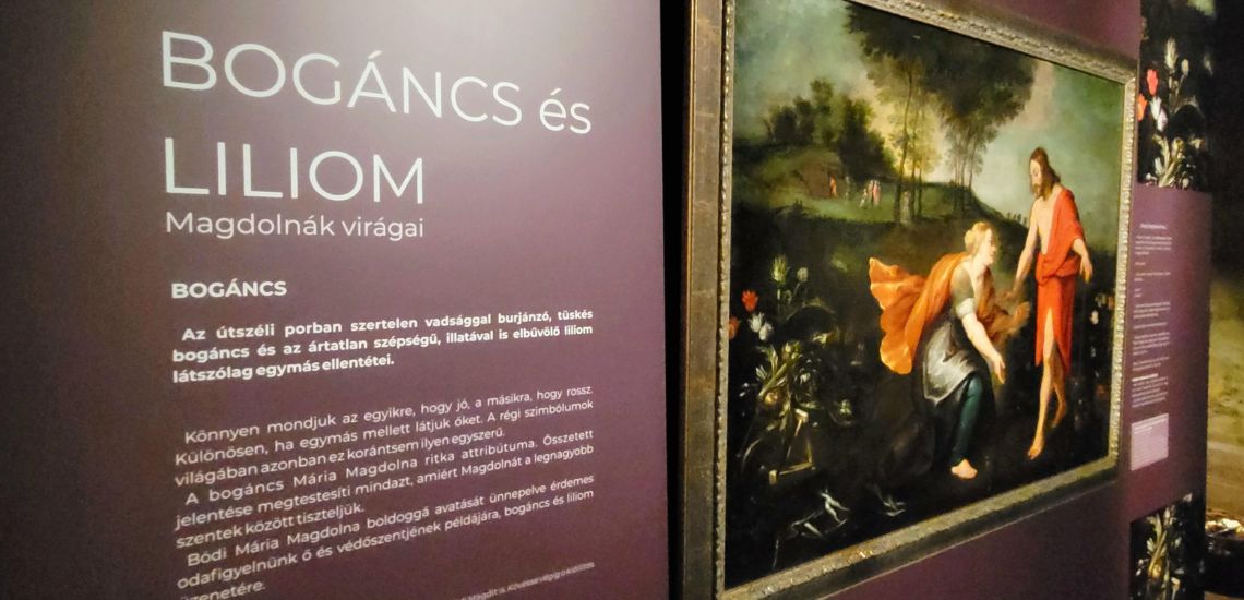 Bogáncs és Liliom - Magdolnák virágai