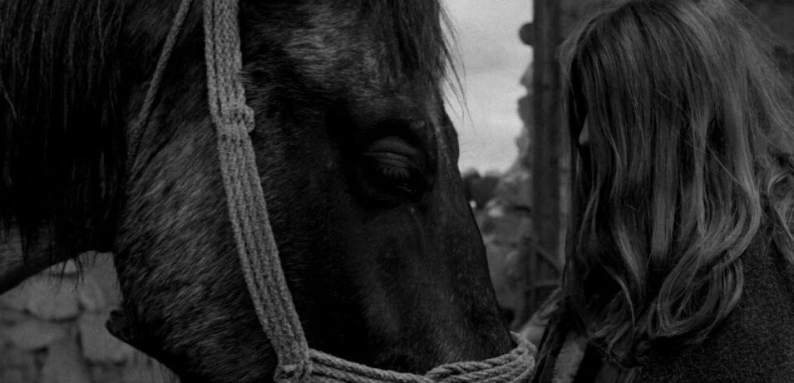 A torinói ló - filmvetítés 