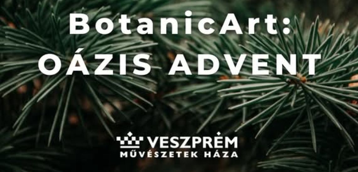 BotanicArt: Oázis / Advent