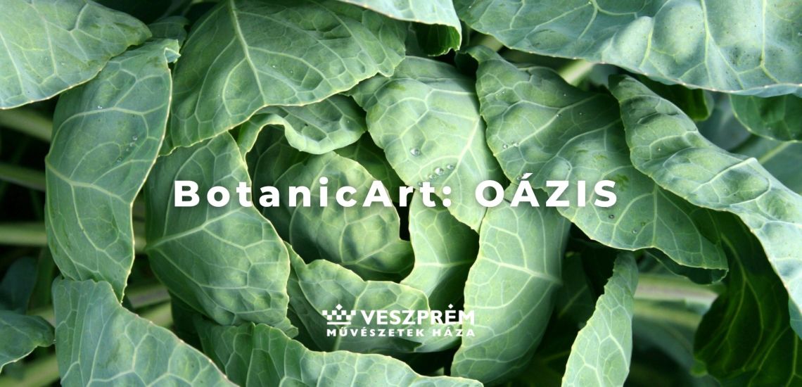 BotanicArt: Oázis / November