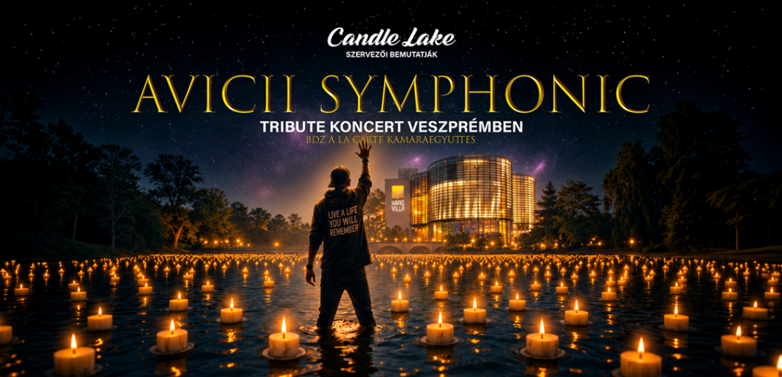AVICII SYMPHONIC Tribute Concert