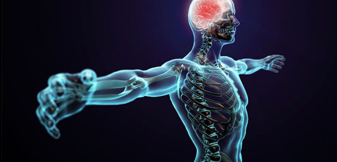 Testünk a csoda - Interaktív kiállítás gyerekeknek