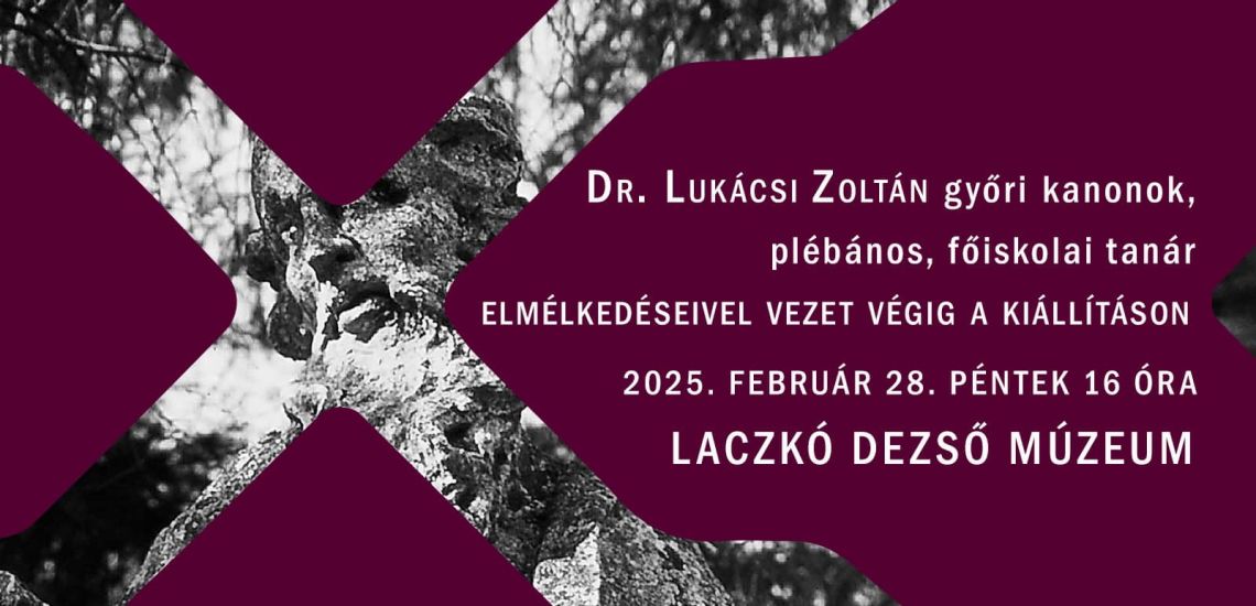 Dr. Lukácsi Zoltán tárlatvezetése