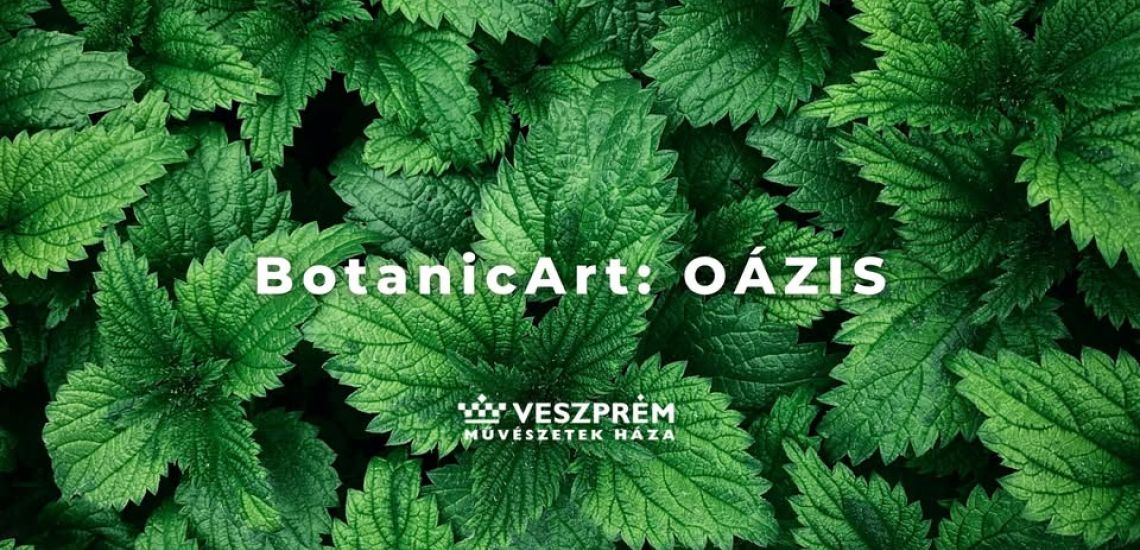 BotanicArt: Oázis / ALGA - a japán konyha nélkülözhetetlen kincse