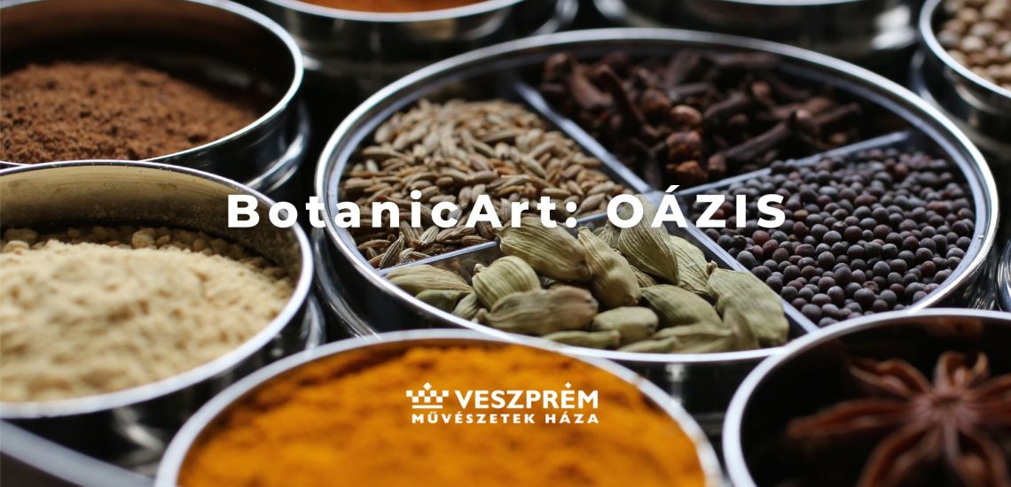 BotanicArt: Oázis / Január