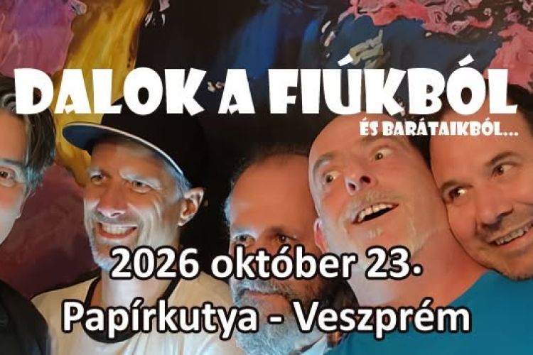 Dalok a Fiúkból... és barátaikból
