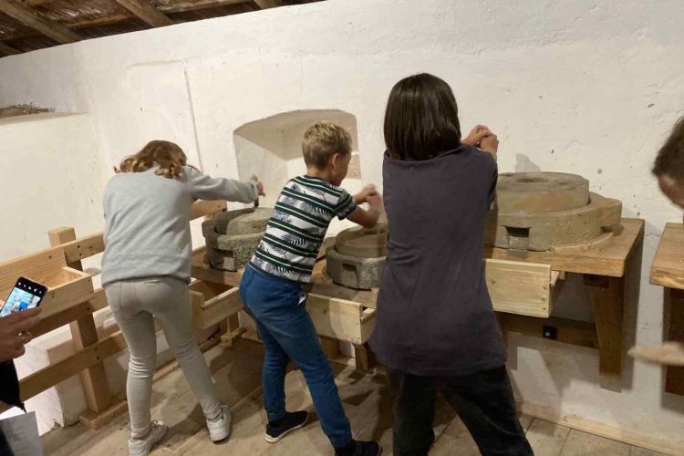 Malomtörténeti kiállítás