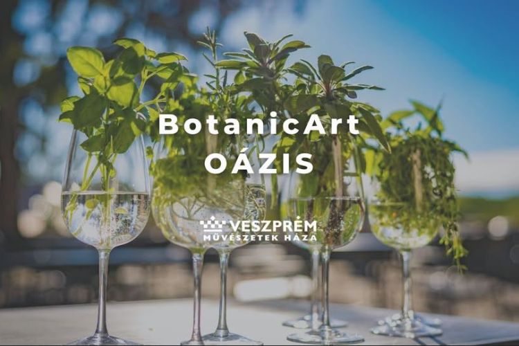 BotanicArt: Oázis / Július