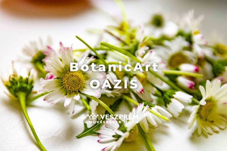 BotanicArt - Oázis/ Április 1.