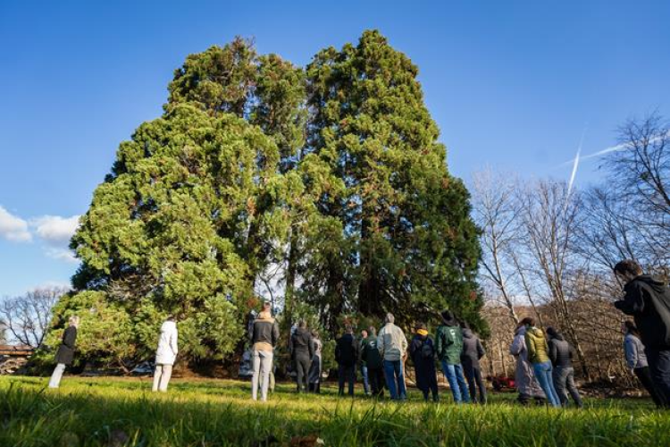 Tóth Barnabás - Szépalmai Arborétum - előadás