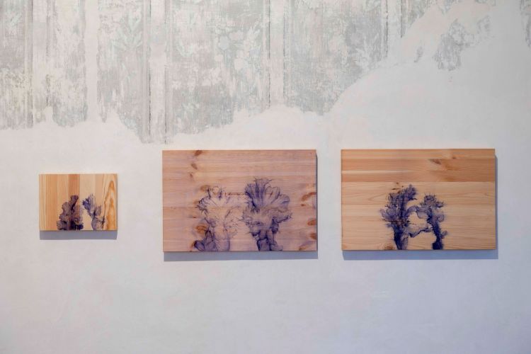 Fagyott felhő, sivatagi por - tárlatvezetés Enzsöly Kingával és Tulisz Hajnalkával