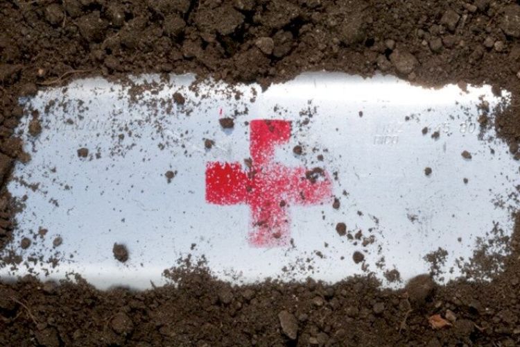 Akik már nem leszünk sosem - vendégjáték