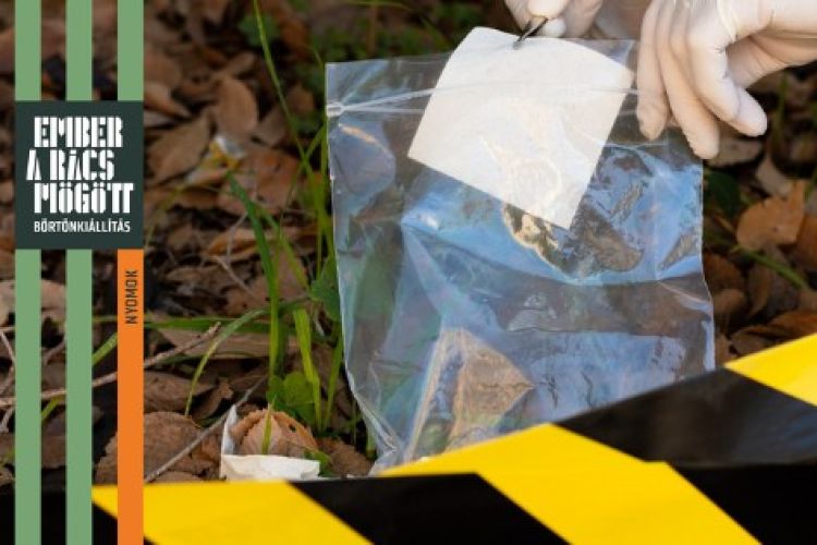 Hátborzongató bűnesetek - Tematikus tárlatvezetés 