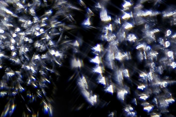 Karácsonyi szférák - gregorián énekek