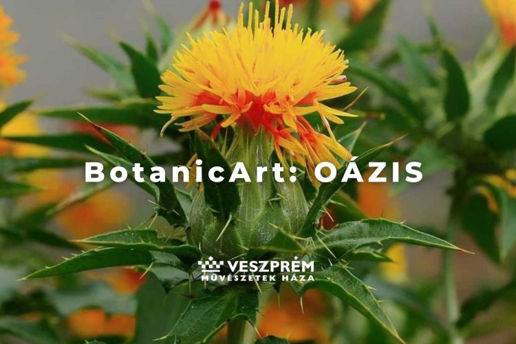 BotanicArt: Oázis / Október