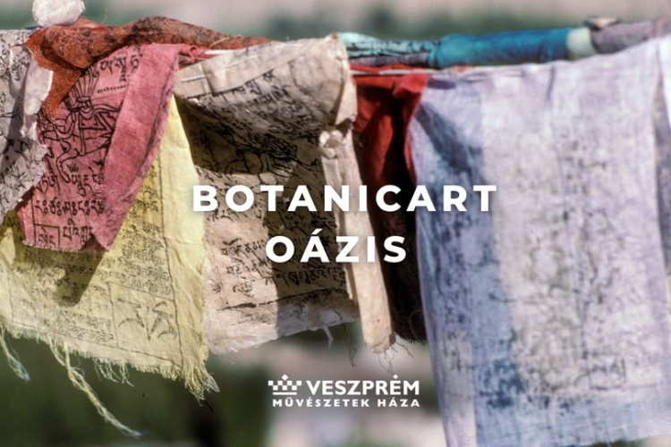  BotanicArt: Oázis / November