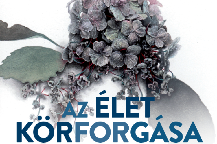 Az élet körforgása kiállítás