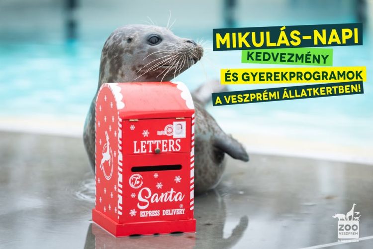 Mikulás-nap a Veszprémi Állatkertben!