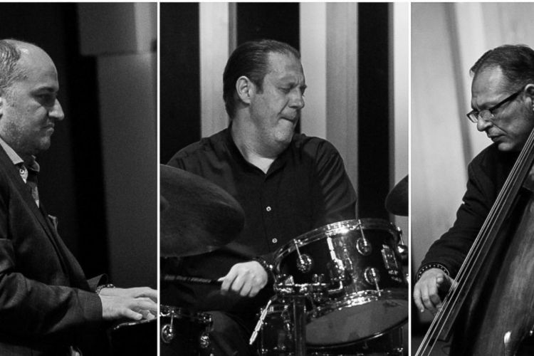 Trio Midnight koncert 