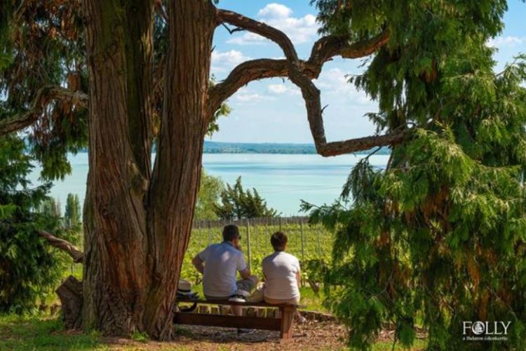 dr. Folly Réka - Folly Arborétum - előadás és borkóstoló 