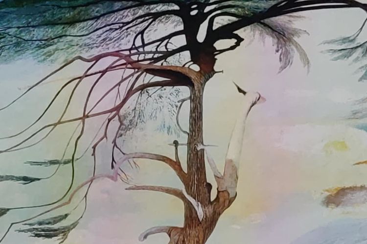 Csontváry - A fotonok nyelvén