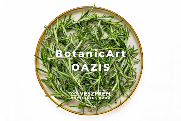 BotanicArt: Oázis / Március-Április