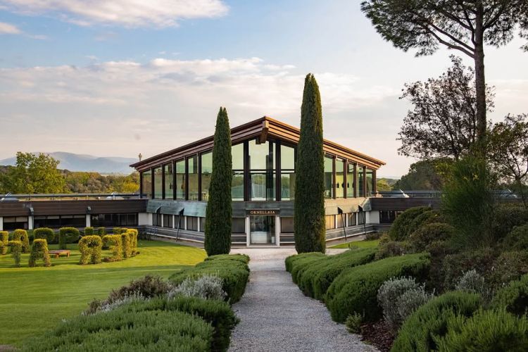 Borklub Vol 35. // Szuper Toszkán // Ornellaia birtok (IT) Szittnyai Zalán