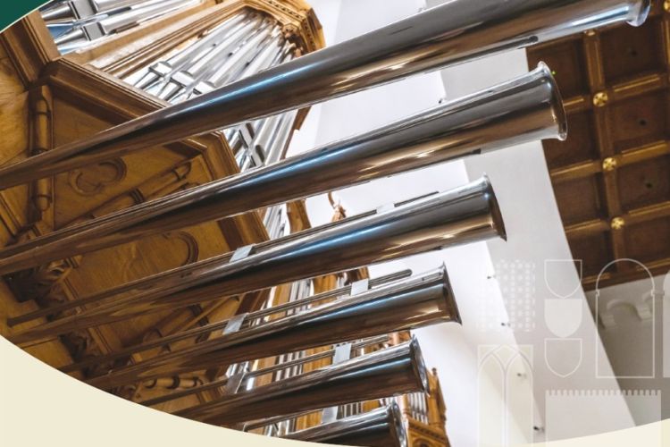 Hangverseny az orgonák éjszakáján / Várhegyi Orgonaestek