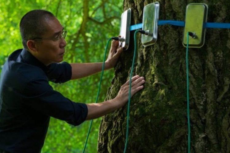 Csendes barát - filmvetítés