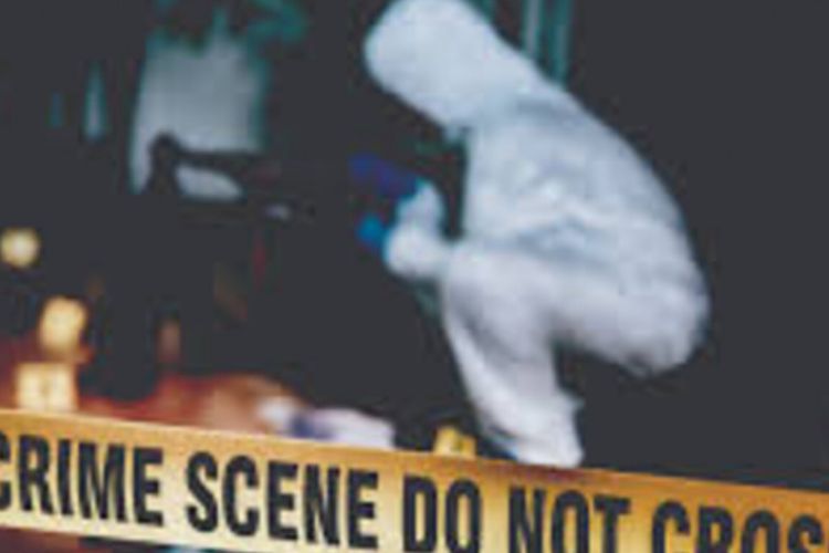 Hátborzongató bűnesetek - Tematikus tárlatvezetés