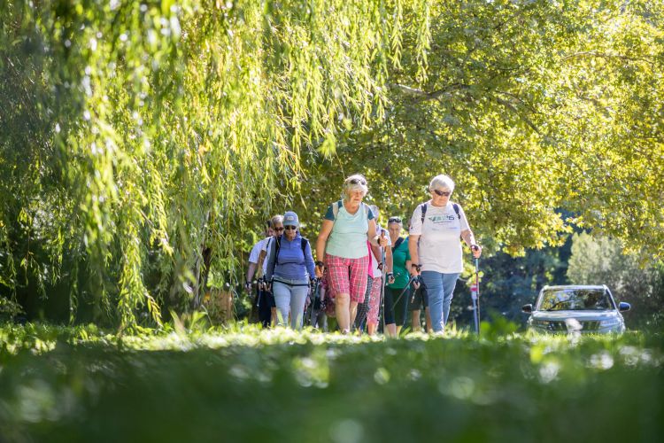 Nordic Walking – eszköz- és mozgásbemutató 05.16.