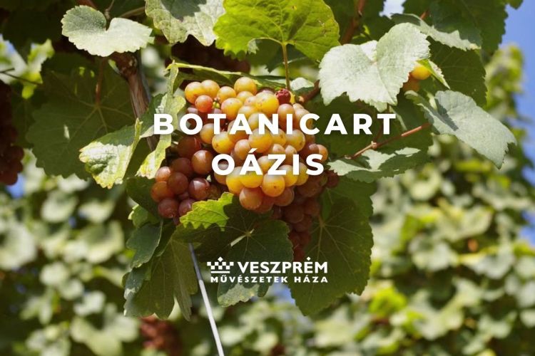 BotanicArt: Oázis / Szeptember