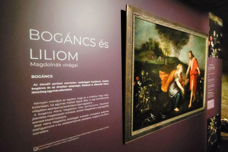 Bogáncs és Liliom - Magdolnák virágai