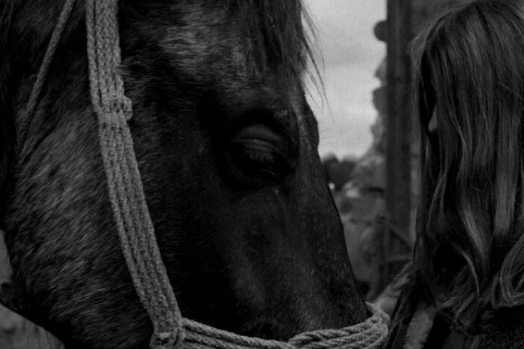 A torinói ló - filmvetítés 