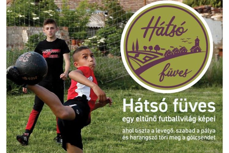 Hátsó füves - időszaki kiállítás