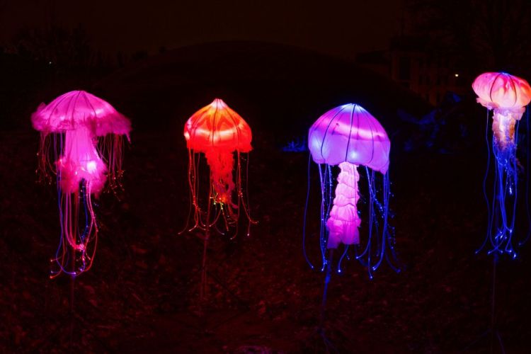 The visitors // 10. Színházi Olimpia